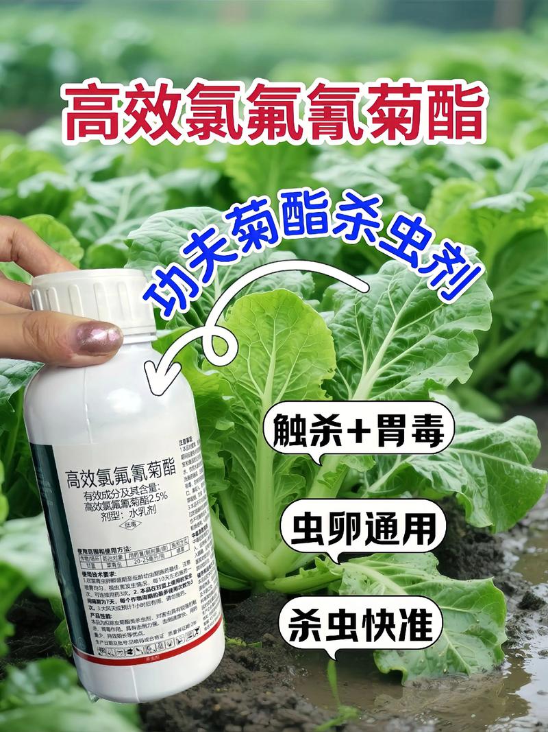 长寿代生中心:农药对供卵代生妈妈的危害